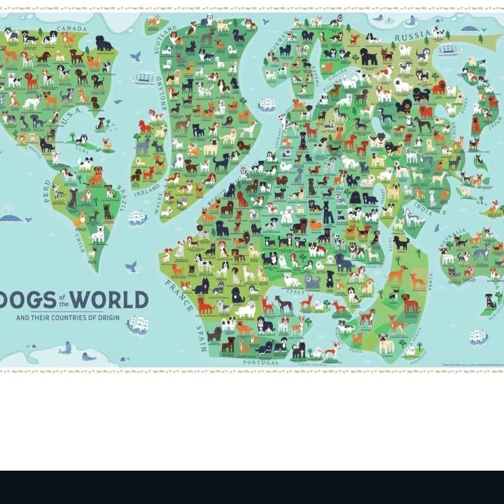 Canine Breeds of the World Art Poster
